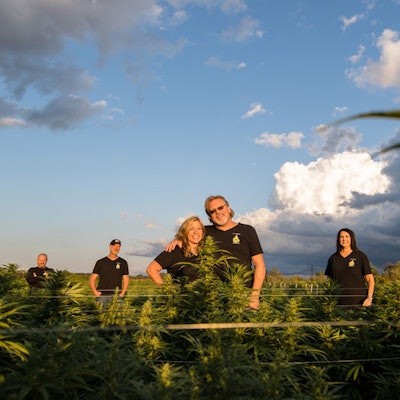 CBD-Oil-hemp-farm