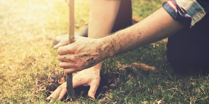 bioelementsonetreeplanted_np2