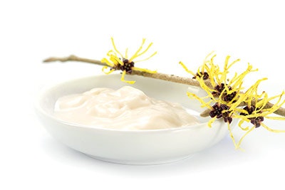 Si1912 Jardeco Dreamstime Xxl 65741397 Cream 400