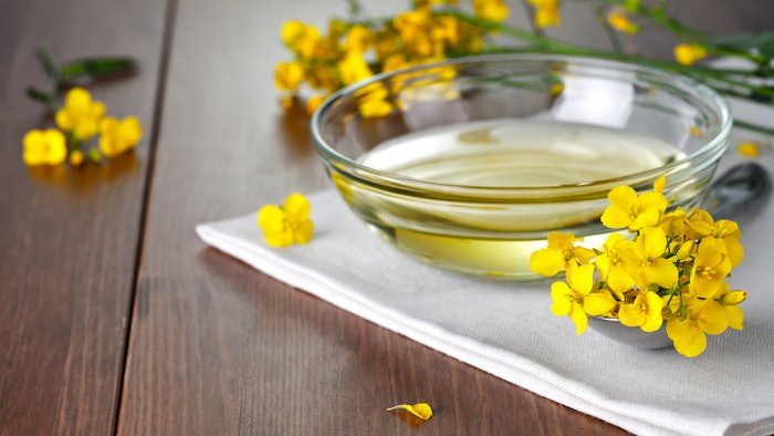 Dreamstime M 31168691