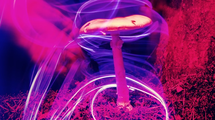 Psychedelic Mushroom