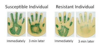 Following this, the surface compounds on the hands of six volunteers were collected to evaluate their antibacterial and antiviral activity. This confirmed the surface compounds on the volunteers’ hands had an inactivating effect not only against E. coli, but also Staphylococcus aureus and the influenza A virus (H3N2). Notably, this inactivation effect varied among individuals: some exhibited a strong inactivation while others did not.