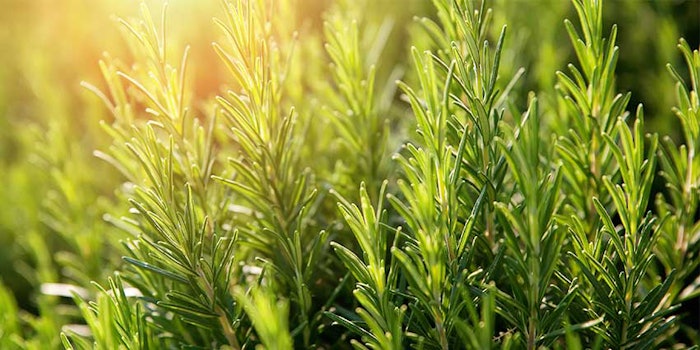 Natpure Xtra Vitality Sensient Cosmetic Technologies