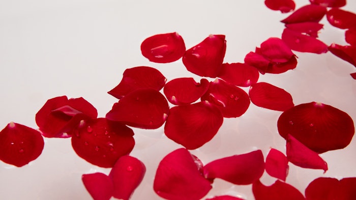 Dreamstime S 136308743