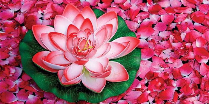 SI2102_dreamstime_xxl_26853816_PinkLotus_850_np