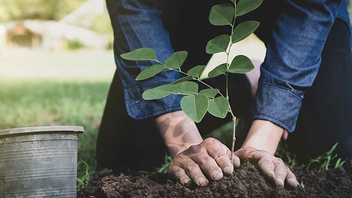 Ds2103 Growing G Dreamstime Xxl 118397650 850np