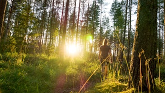 Dreamstime M 103770106