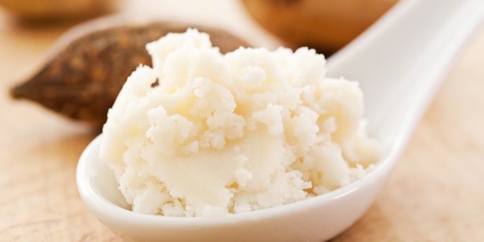 Shea butter is a natural vegetable fat that comes from processing nuts from the shea tree.