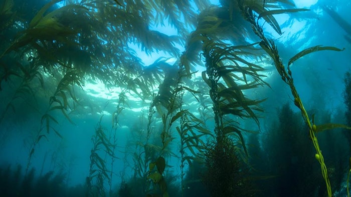 Ds2105 Thalassotherapy Dreamstime Xxl 144147314 850np