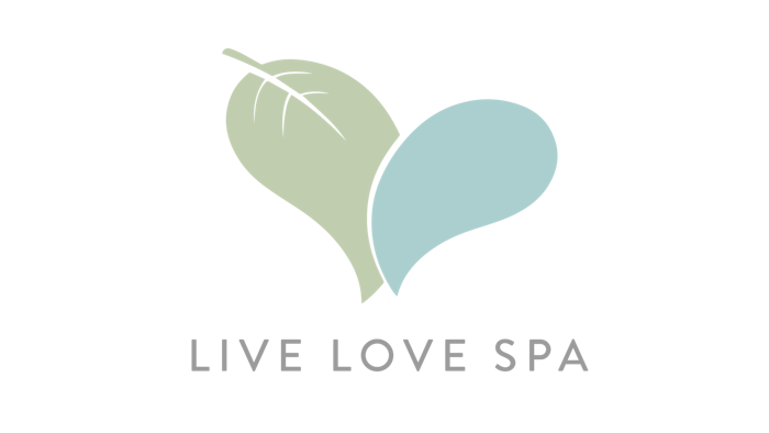 Lls Logo 2020 Color1