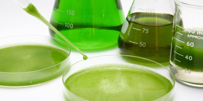 Algae is a commonly used skin care ingredient that is also an extremophile.