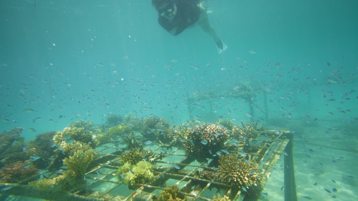 Dreamstime M 31398274