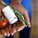 'Lycoderm is a proprietary blend of tomato phytonutrients and rosemary leaf that offers optimal concentrations of lycopene, phytoene, phytofluene and carnosic acid.'