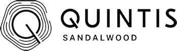 Quintis Logo 72-350X101