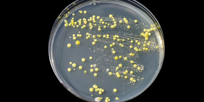Scientists used a special characteristic of the enzyme benzonase to develop a method to fully eliminate the non-target DNA.