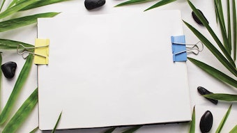 Ws2109 Ms Dreamstime Xxl 99506037 850np