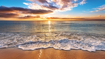 Dreamstime Xxl 75364306