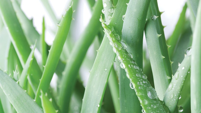 Ws2111 Serene Services 850x425