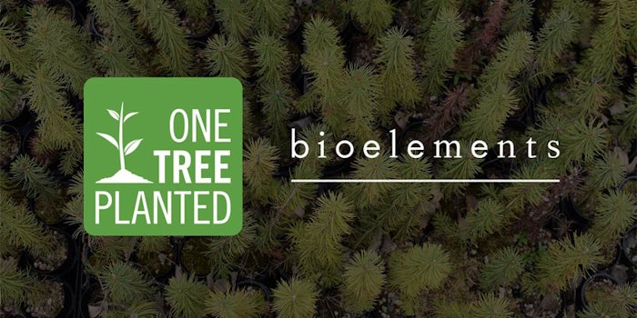 The partnership created forests that will remove over 60,000 lbs. of carbon dioxide each year, exceeding its reforestation goals of 28,000 lbs.