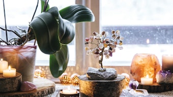 Ws2112 Profit Center Crystal Decor 850x425