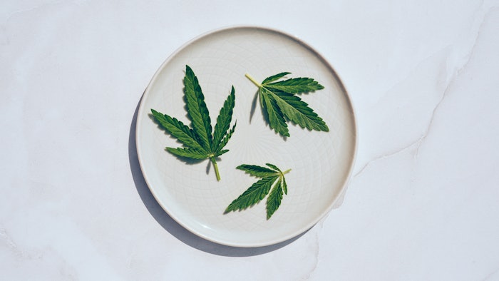 Allied Market Research reports that the legalization of cannabis and cannabis derivatives has increased the popularity of CBD in the wellness and personal care industries.