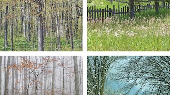 Ws2201 Aroma Dreamstime Xxl 15808041 850np