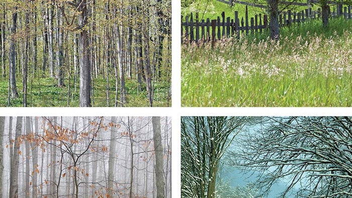 Ws2201 Aroma Dreamstime Xxl 15808041 850np