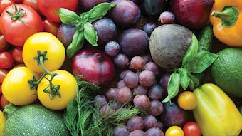 Ws2201 Nutrition Dreamstime Xxl 158188818 850np