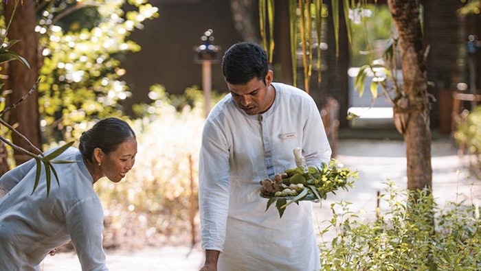 Ws2203 Mlg 1251 850np