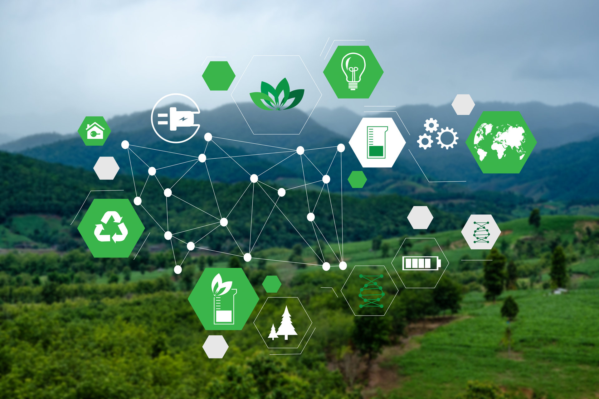 Sophorolipid biosurfactants are said to offer a substantial reduction in carbon footprint relative to conventional surfactants