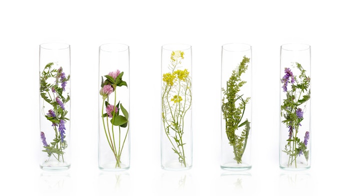 Bottle Natural cosmetics organic product from plants and flowers, herbal tube cosmetics for skin care.