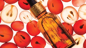 Si2206 Anti Dreamstime Xxl 103725219 850np