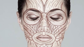 Si2206 Morph Dreamstime Xxl 55072165 850np