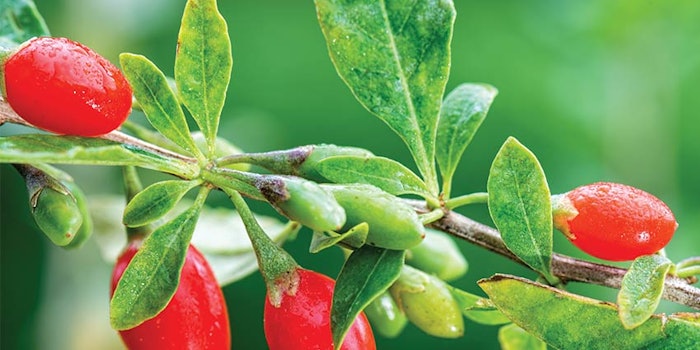 Si2206 Jar Dreamstime Xxl 44308542 850np