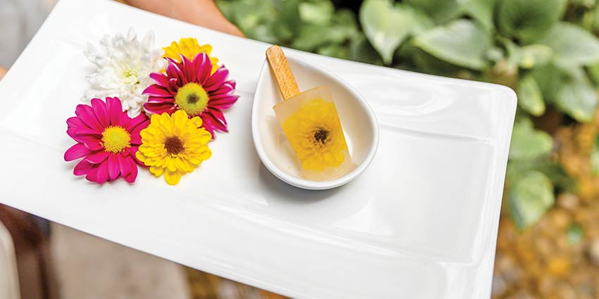 SE Spa Healthy Spa Pops