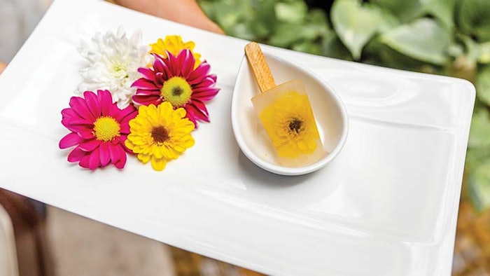 SE Spa Healthy Spa Pops