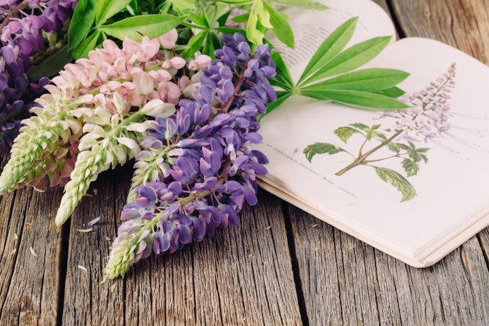 Active botanical blends are a staple in sustainable cosmetic products. Green Mountain Biotech is a leading developer of these herbal formulas.