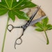 Leaf Black Edition Shears