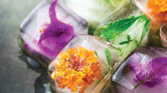 Sculpting Silhouettes With Wood and Ice Therapy