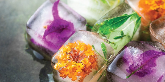 Sculpting Silhouettes With Wood and Ice Therapy