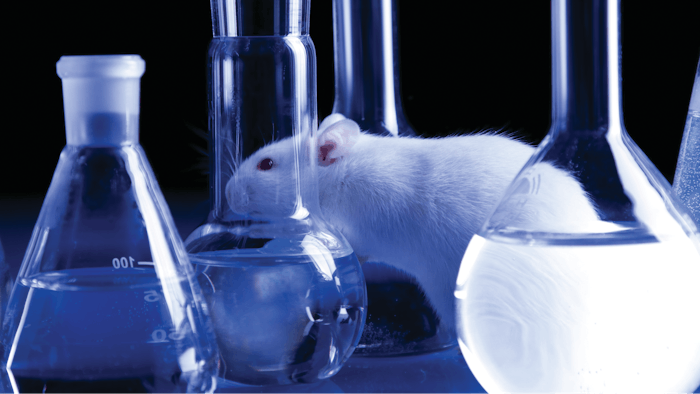 This article describes recent regulatory activities in the EU/UK cosmetic ingredient industry. CMRs, animal test alternatives, ingredient data, fragrance standards and more are addressed.