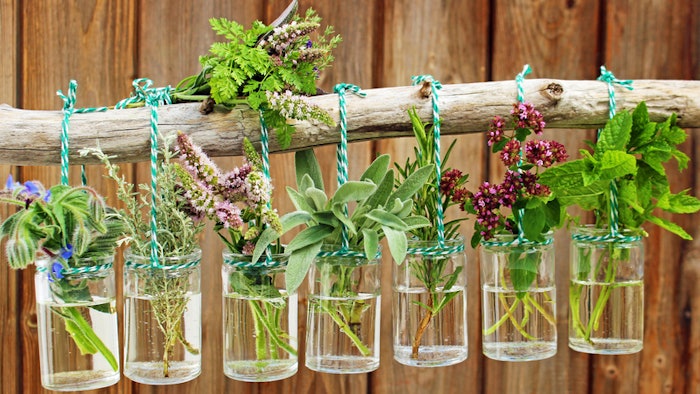 This iteration of formulating on trend focuses on scalp care as it pertains to hair oil. A dry scalp can significantly effect the hair, and with the arrival of the winter months, formulating for a hydrated scalp is necessary.