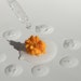 Savvy spas can capitalize on the skin flooding trend by sharing their expertise and guiding clients with unique recommendations and treatments.