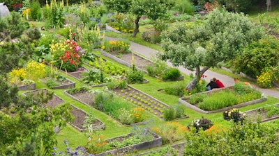The organic gardens at The Stanford Inn