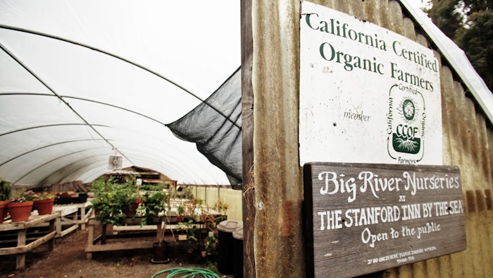 The organic greenhouse at The Standford Inn