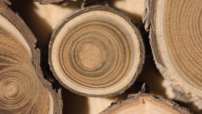 How to Incorporate the Healing Powers of Sandalwood into Spa Offerings