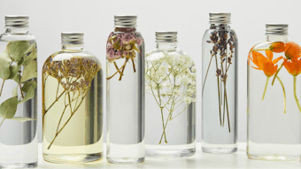 different organic beauty products in transparent bottles with herbs and flowers isolated on grey
