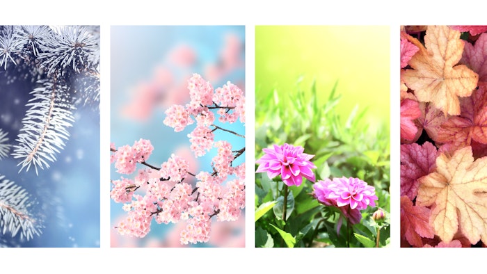 What Seasonal Offerings Can Do for Your Treatment Menu