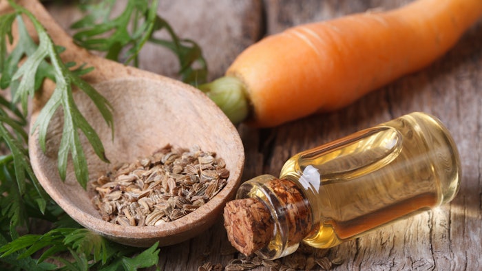 The Nurturing Powers of Carrot Seed in Spa Treatments