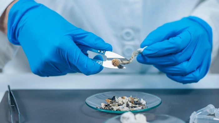 doctor preparing microdoses of psilocybin mushrooms